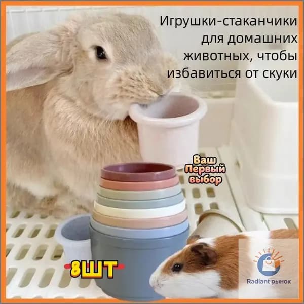 Качественный комплект для стачивания зубов, используемый грызунами, предназначен для умственного развития кроликов, морских свинок, шиншилл и белок посредством сталкивания игрушки.