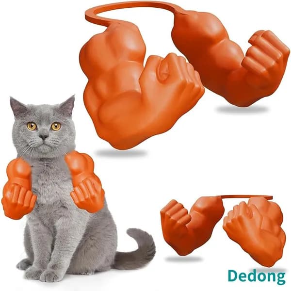 3D-печать: оранжевые браслеты для кошек