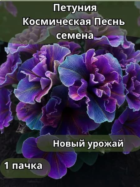 Петуния Космическая Песнь, семена 10 шт