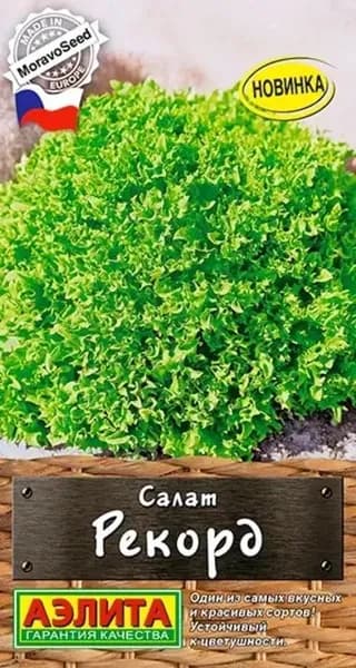 Семена Салат Рекорд (0,5 г) - Агрофирма Аэлита