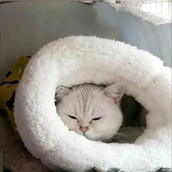 Кошачий и собачий спальный мешок, зимний теплый, ягненок, гнездо для домашних животных, мелкие животные до 15 кг общий..
