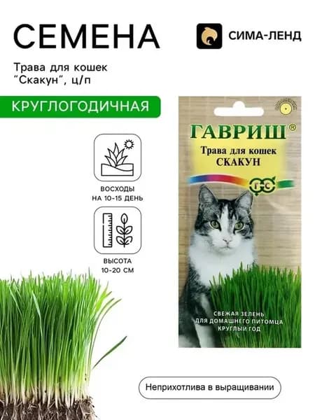 Свежая трава для кошек — 10 г