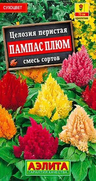 Семена Целозия Перистая Пампас Плюм, смесь (0,3г) - Аэлита