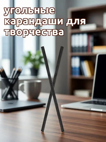 Угольные карандаши из угля и ивы для рисования, набор из 25 шт, черного цвета
