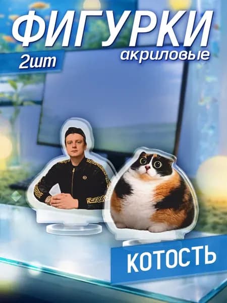 Акриловая фигурка котики Котость Мелстрой Мем