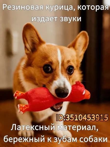Игрушки для домашних животных Кричащая латексная курица