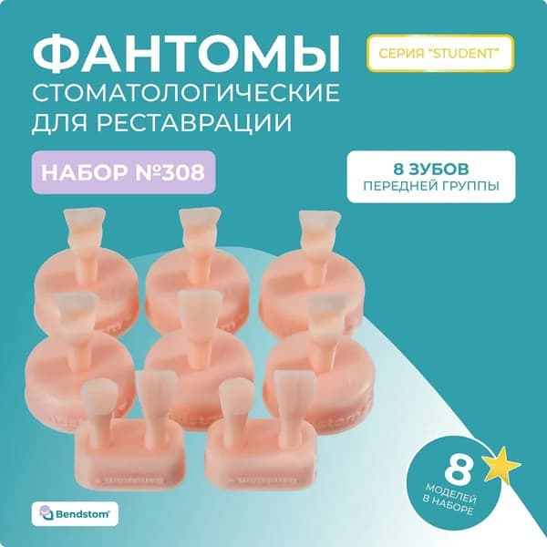 Набор №308 фронтальные зубы (8 моделей) препарированные + анатомия / модели для реставрации / стоматологический тренажер