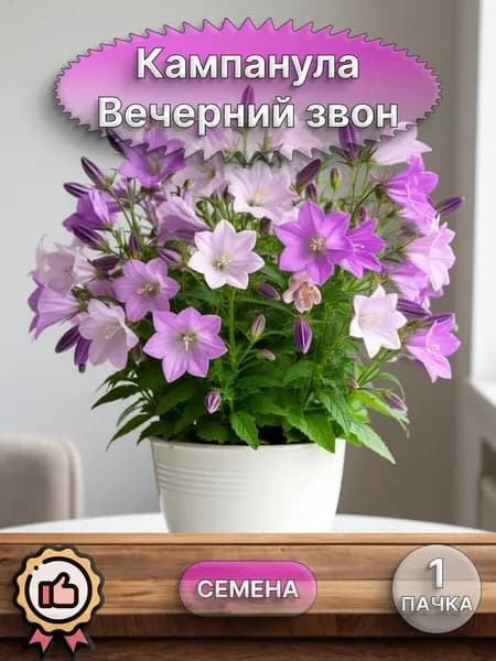 Кампанула Вечерний звон (семена)