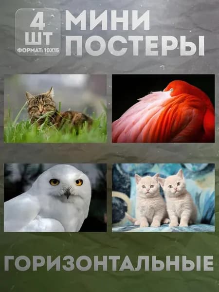 Мини постеры 10 на 15 (набор) «Животные» 4 шт