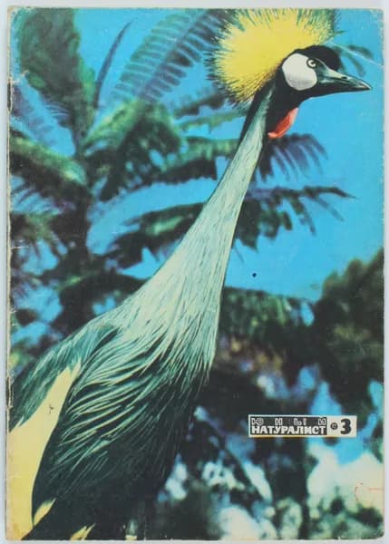 Винтажный журнал СССР Юный Натуралист, 1972 год