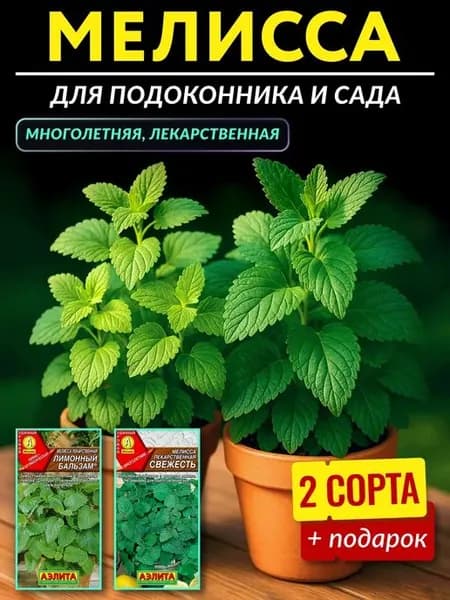 МЕЛИССА лекарственная (2 уп) Лимонный бальзам, Свежесть "Аэлита"