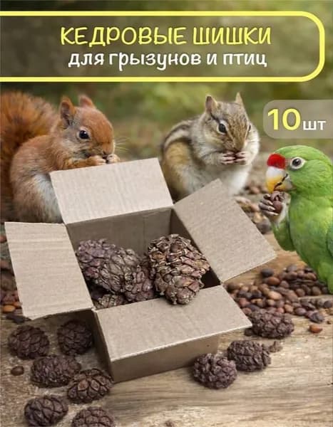Кедровые шишки с повреждениями 10 шт