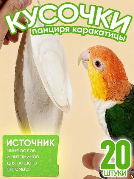 20 штук,сепия для попугаев,игрушки для попугаев волнистых