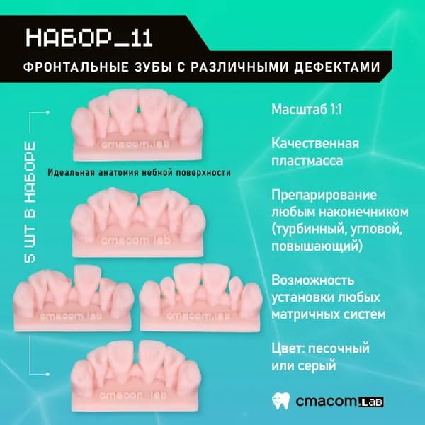 Набор#11 Модели для реставрации фронтальных зубов/5 штук/тренировочные модели