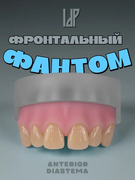 Модель стоматологическая ANTERIOR DIASTEMA / фантом для фронтальных реставраций c диастемой ID.POPOV
