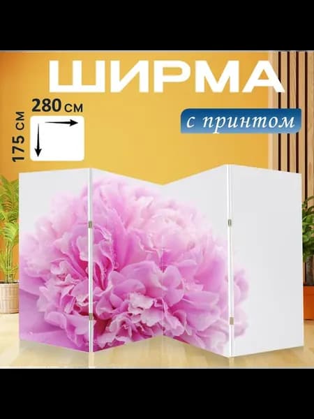 Ширма "Пион, роза, оздоровительный" 280x175см
