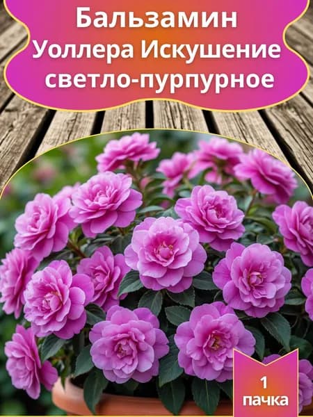 Бальзамин Уоллера Искушение светло-пурпурное F1 (семена)