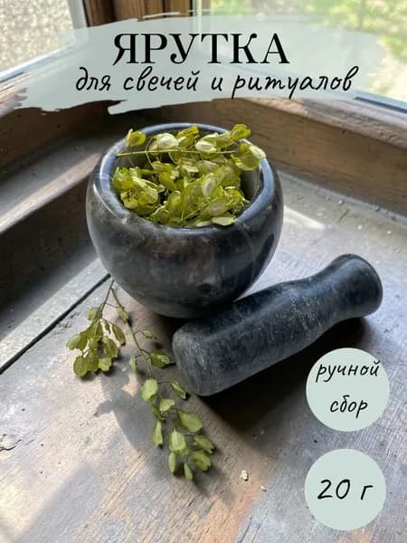 Ярутка сушеная для ритуалов и свечей