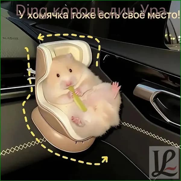 Качественное кресло для хомячка, устанавливаемое в дефлектор авто