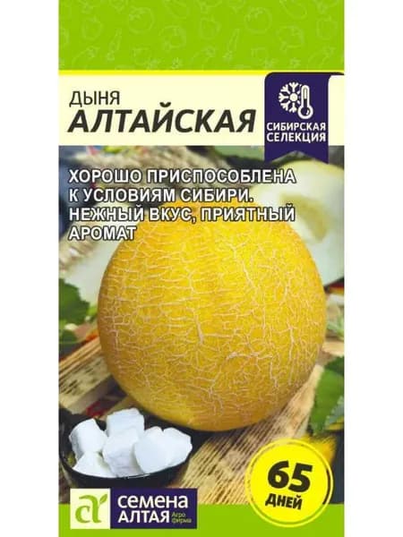 Дыня Алтайская