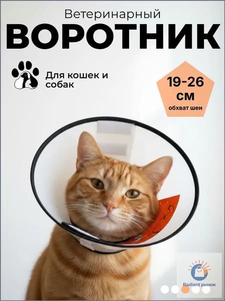 Воротник ветеринарный для кошек и собак послеоперационный на липучке "ЛЮБИМЫЙ БРО" защитный конус, для крупных кошек и мелких собак, обхват шеи 19-26 см (диаметр 38 см)