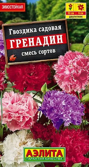 Семена Гвоздика садовая Гренадин, смесь окрасок (0,1г) - Аэлита