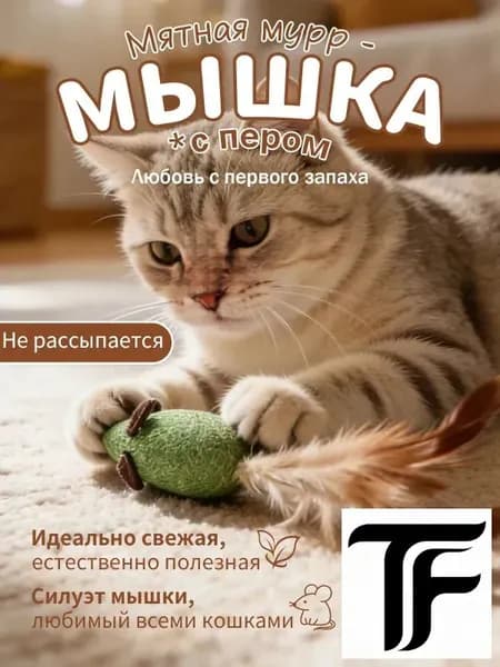 Интерактивная мышка для кошек с кошачьей мятой и натуральным пером, игрушка-дразнилка