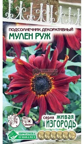 Подсолнечник декоративный Мулен Руж (1 гр)