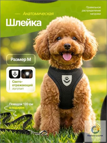 Шлейка для кошек собак мелких пород с поводком, размер M