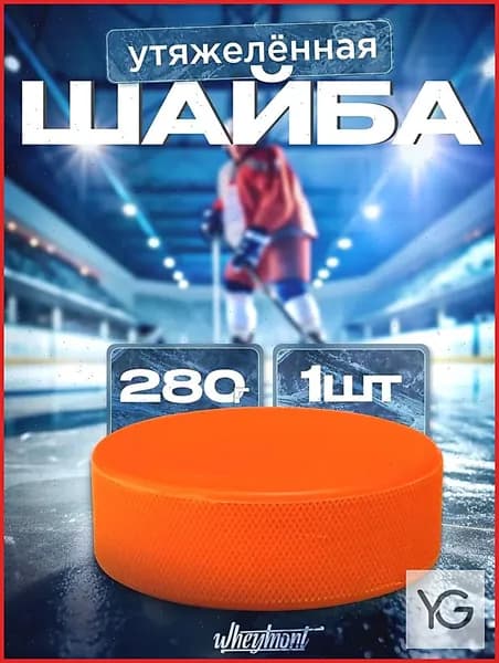 Шайба хоккейная