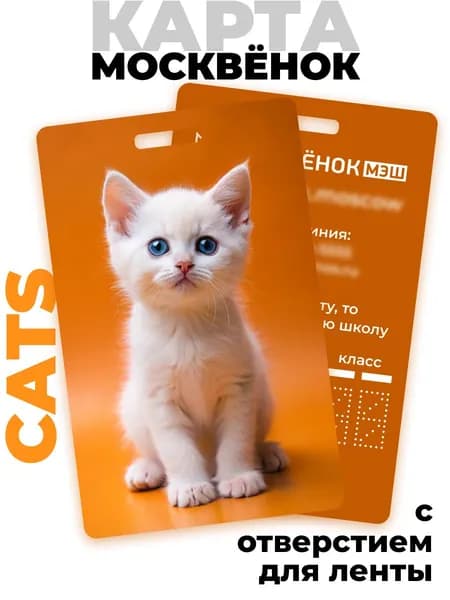 Карта школьника Москвёнок CATS №10