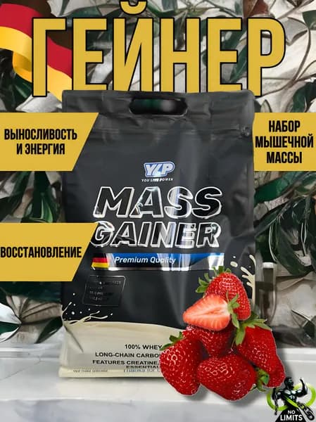Mass Гейнер 2700