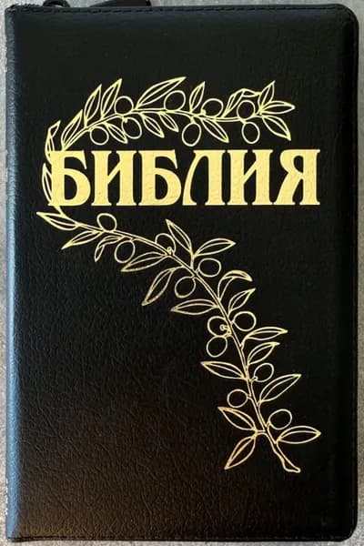 БИБЛИЯ ГЕЦЕ 057 Z Черный цвет пятнистый, кожа, молния, золотой срез /220х145/