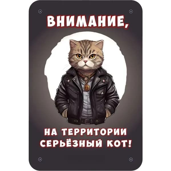 Декоративная табличка "Внимание, на территории серьёзная собака!" (Осторожно, злая собака) / размер 30х20см, Кот шотландский