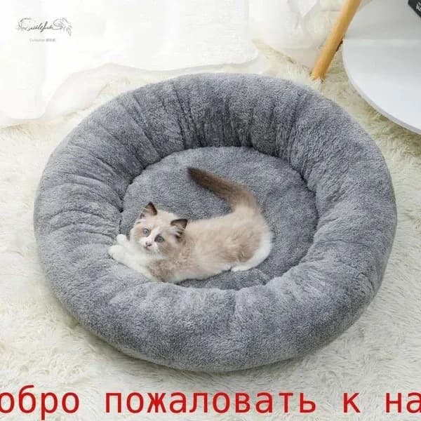 Лежаки Для Кошек С Теплыми Спинками - Идеальное Место Для Вашего Питомца В Холодные Дни