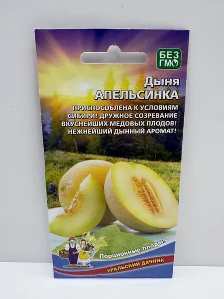Дыня Апельсинка