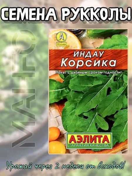 Семена Индау (руккола) Корсика, Лидер, 0,3 г (Аэлита)