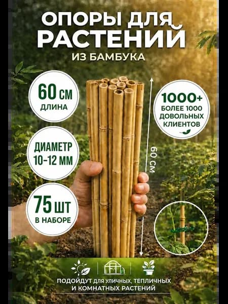 Опора для растений и цветов колышки бамбук 60 см, 75 шт