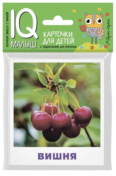 Умный малыш. Карточки для детей. Что растёт в саду?