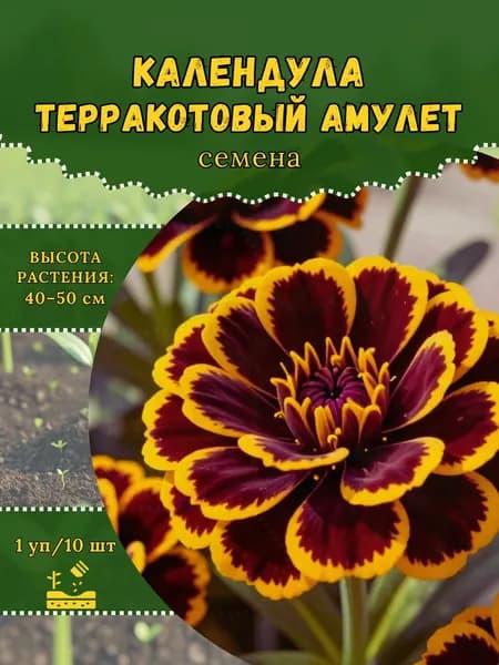 Календула "Терракотовый Амулет" семена, 1 пачка