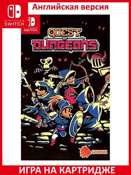 Игра Quest of Dungeons Switch Картридж на Nintendo Switch Английская версия