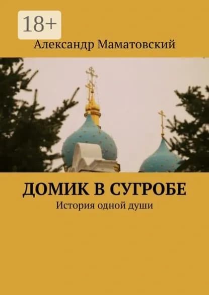 Домик в сугробе. История одной души | Маматовский Александр | Электронная книга