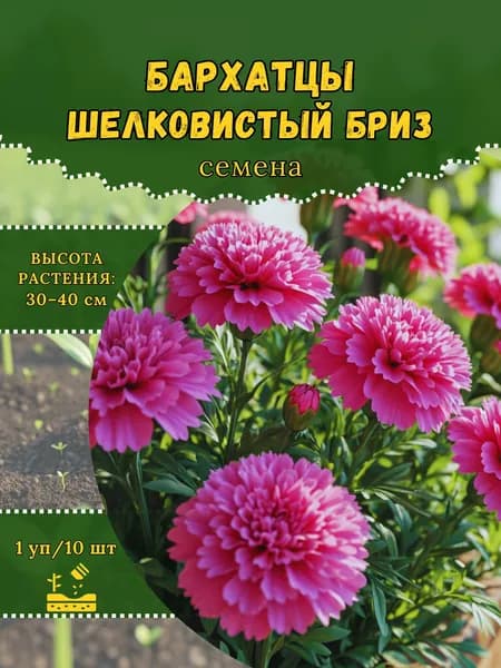 Бархатцы "Шелковистый Бриз" семена, 1 пачка