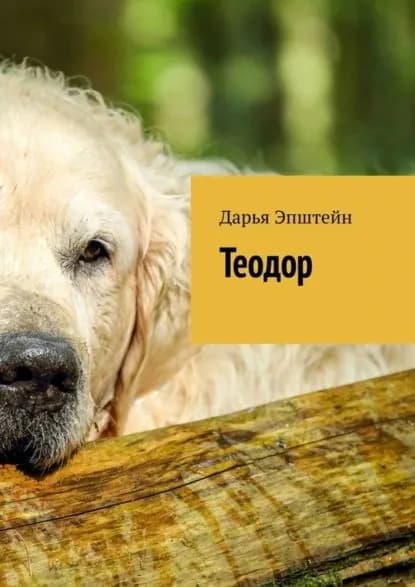 Теодор | Эпштейн Дарья Юрьевна | Электронная книга