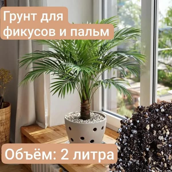 Авторский грунт для Фикусов и Пальм 2 литра