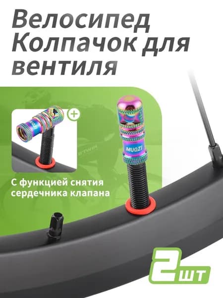 Велошина