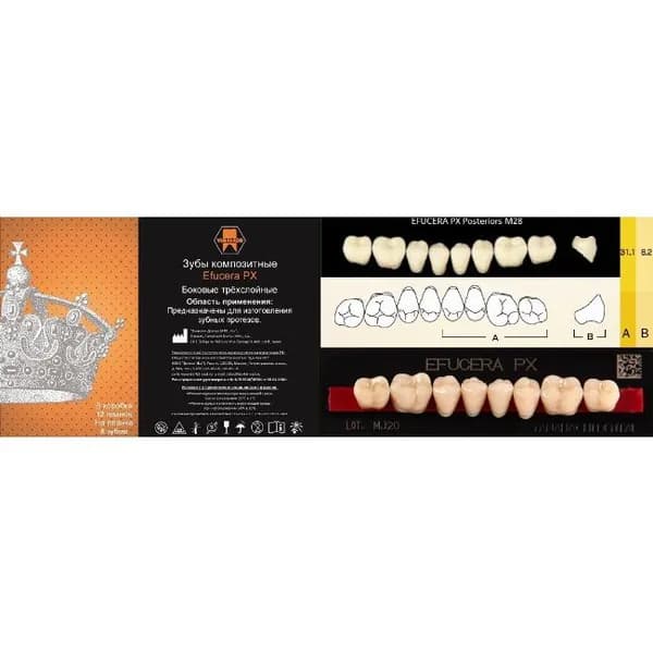 Зубы композитные трехслойные, вариант исполнения: PX, EFUCERA Posterior (боковые нижние), фасон 28 цвет D4,8 шт. на планке.