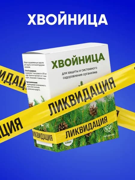 Хвойный экстракт для иммунитета и оздоровления Хвойница