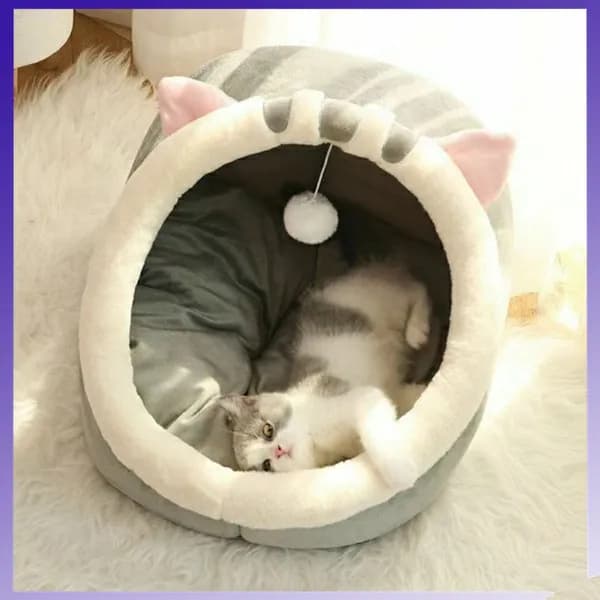 домик для кошки