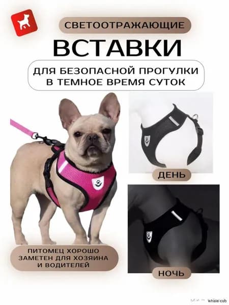 Шлейка с поводком для собак средних, мелких пород и кошек, черная Мx